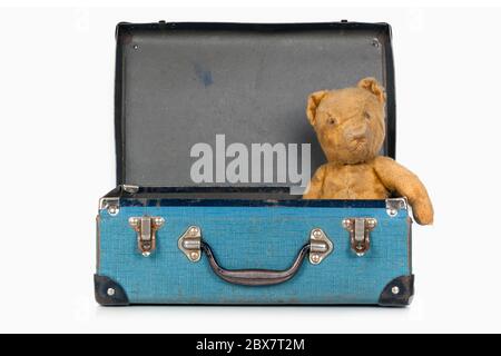 Vintage teddy bear in old school case, isolated on white. Stock Photo