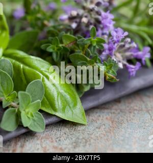 Herbs still life.  With oregano, lavender, rosemary, thyme, sage and basil. Stock Photo