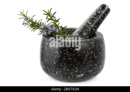 Granite mortar and pestle with sprigs of fresh rosemary, isolated on white. Stock Photo