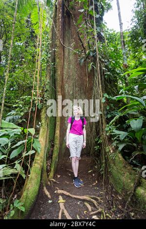 female tourist standing beside rainforest tree with vines competing for light, Sensoria, tropical rainforest reserve, Rincon de la Vieja, Provincia de Stock Photo