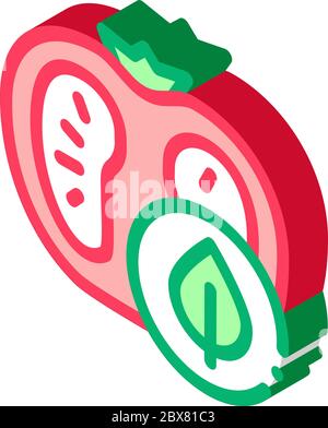 Tomato Leaf isometric icon vector illustration Stock Vector