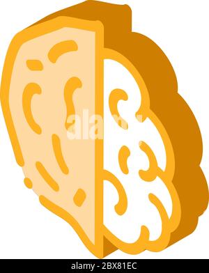Walnut Nut isometric icon vector illustration Stock Vector