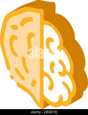 Walnut Nut isometric icon vector illustration Stock Vector