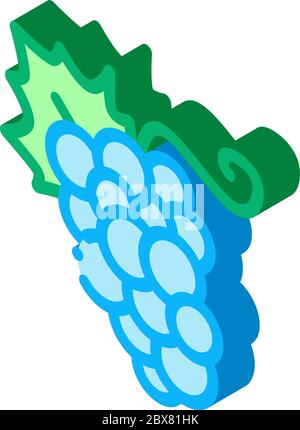 Grape Berries isometric icon vector illustration Stock Vector
