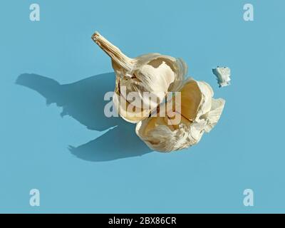 garlic with long shadows isolated on blue background, top view Stock Photo