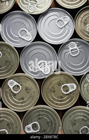 flat bottom filled with cans of silver and gold tuna from an overhead view