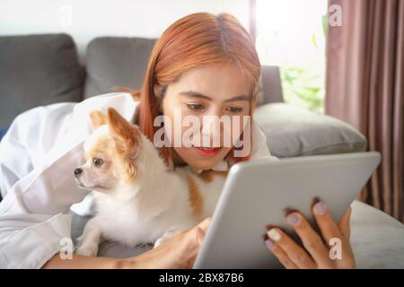 Asian business women and a Chihuahua puppy are in the room watching the news on a tablet - work from home Stock Photo