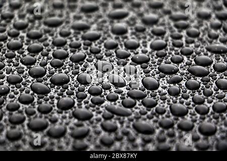Close up of thousands of beaded water droplets on auto vehicle Stock Photo
