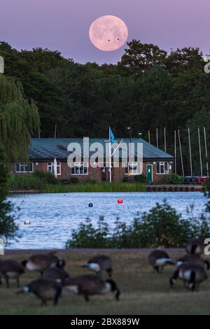 Rickmansworth, UK.  6 June 2020. UK Weather - June's full moon, known as a Strawberry Moon, sets at Rickmansworth Aquadrome in north west London.  June's full moon, according to The Old Farmer's Almanac, was the signal for Native American Algonquin tribes to harvest wild strawberries.  This month's full moon also coincides with a subtle penumbral eclipse, which occurs when the Earth casts a slight shadow over the Moon.     Credit: Stephen Chung / Alamy Live News Stock Photo
