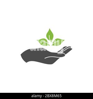 Eco icon. Plant leaf in hand icon. Vector illustration, flat design. Stock Vector
