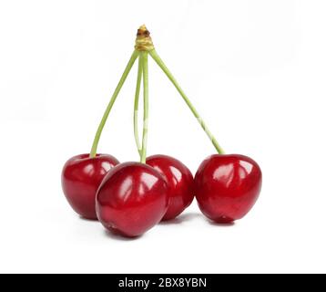 Four fresh organic cherries with green stem isolated on white background. Delicious red fruit Stock Photo