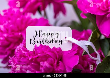 Happy Birthday greeting card on pink flower. Roses flowers and petals background.