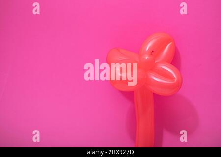 Balloons shaped in the form of a flower over a pink background. Beautiful artificial flower made with balloons. Hand made birthday object.