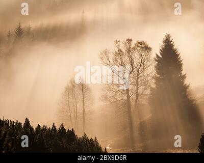 Foggy morning in the mountains with first sun beams. Panoramic shot in warm colors. Stock Photo