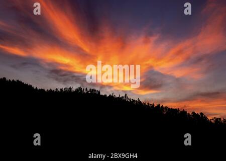 Black silhouette of a forest in mountain at sunset, Italian Alps, Trentino Alto Adige, Italy, Europe Stock Photo