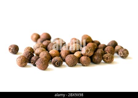 dried allspice fruits isolated on white background Stock Photo