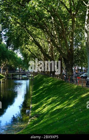 'Urban green': 'Kö-Graben', the Düsseldorf city canal on the luxury shopping boulevard 'Königsallee' with its old plane trees and chestnut trees. Stock Photo