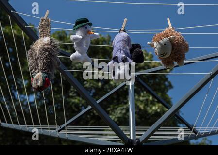 Well loved pet dog toys recently washed and hung out to dry on a rotary washing line in bright sunshine on a summer's day Stock Photo