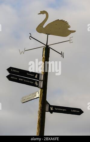 Mute swan cut out weather vane and migration distance and direction indication signs mounted on a wooden post set against a blank cloudy sky. Stock Photo