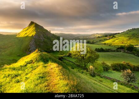 Colorful Green Fields With Bright Summer Early Morning Sunlight At Chrome Hill In The Peak District, UK Stock Photo