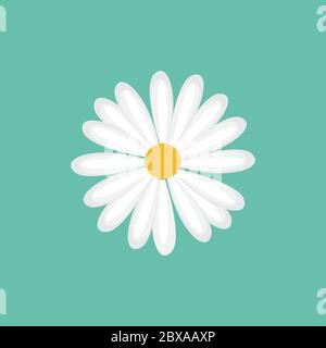 daisy chamomile flower icon design vector illustration Stock Vector