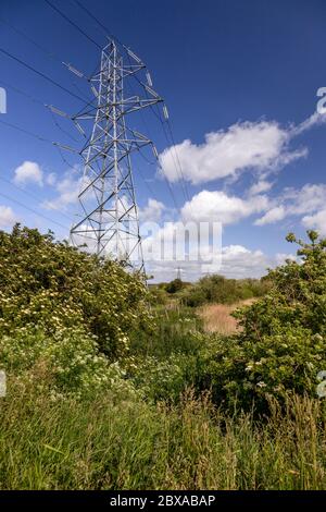 Electricity pylon, Deeside, North Wales Stock Photo