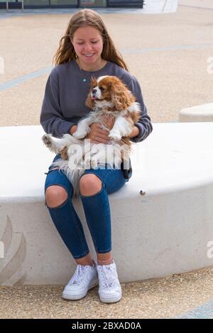 Teen sitting holding King Charles Cavalier Spaniel dog, Cavalier King Charles Spaniel dog, on her lap at Pier Approach, Bournemouth, Dorset UK in June Stock Photo