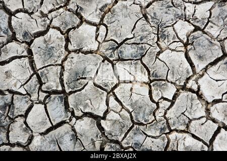 Footprint in pattern of cracks in dried mud in an estuary Stock Photo