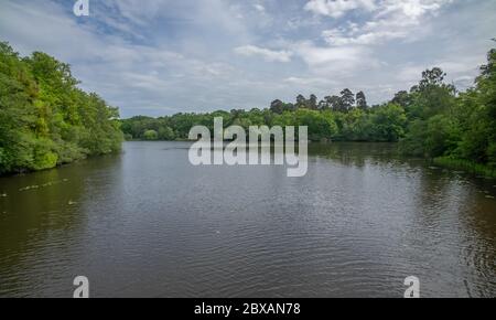 Virginia Water Lake and surrounding Windsor Great Park In Surrey UK Stock Photo