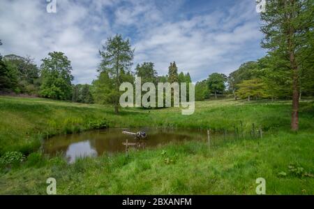 Virginia Water Lake and surrounding Windsor Great Park In Surrey UK Stock Photo