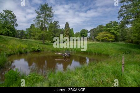 Virginia Water Lake and surrounding Windsor Great Park In Surrey UK Stock Photo