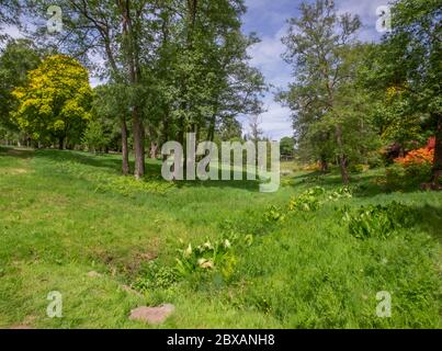 Virginia Water Lake and surrounding Windsor Great Park In Surrey UK Stock Photo