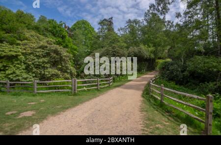 Virginia Water Lake and surrounding Windsor Great Park In Surrey UK Stock Photo