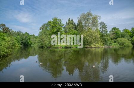 Virginia Water Lake and surrounding Windsor Great Park In Surrey UK Stock Photo