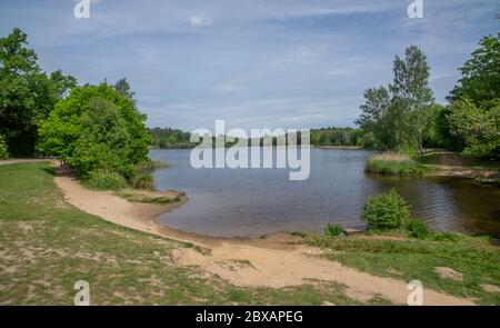 Virginia Water Lake and surrounding Windsor Great Park In Surrey UK Stock Photo