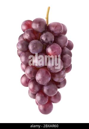 Hanging cluster of red grapes isolated on white background Stock Photo