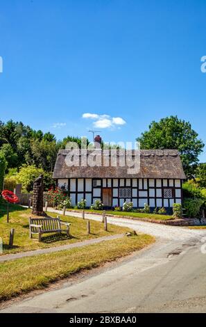 Quintessential idyllic picturesque half timbered black and white thatched roof rural country Cheshire  cottage on the village green at Peckforton UK Stock Photo