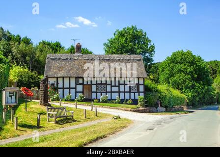 Quintessential idyllic picturesque half timbered black and white thatched roof rural country Cheshire  cottage on the village green at Peckforton UK Stock Photo