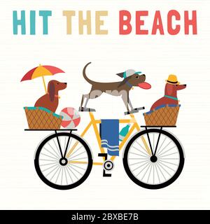 Time for adventure. Cute comic cartoon. Colorful humor retro style. Dogs ride bicycle to beach fun leisure relax. Dog days of Summer time vacation Stock Vector
