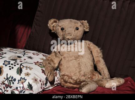 A well-used, worn Teddy Bear from the turn of the 1900s. Probably an original Teddy Bear sitting on pillows looking at the camera. Stock Photo