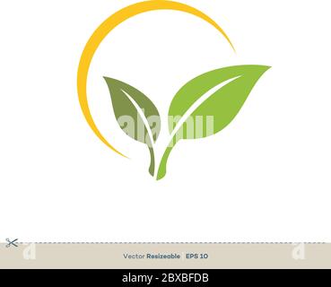 Green Leaves Vector Logo Template Illustration Design. Vector EPS 10. Stock Vector
