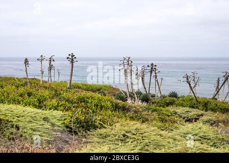 Coastal area at the Cabrillo National Monument. San Diego, CA, USA. Stock Photo