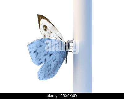 butterfly cabbage polygonal low poly isolated on white background. Close-up. Insect with geometry triangle. Suitable for web design. Abstract butterfl Stock Photo