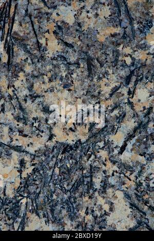 Gold and white Patterned natural of dark gray marble texture background for product design. Stock Photo