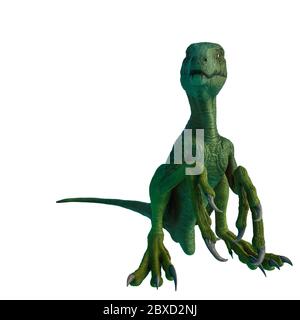 dakotaraptor sitting on white background Stock Photo