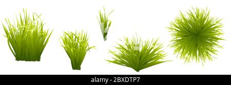 Spring. Green grass, 3d realistic vector icon set Stock Vector