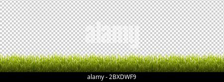 Grass Border Transparent background, Vector Illustration Stock Vector