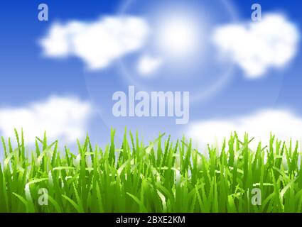Background with green grass, blue sky with white clouds and the sun. Stock Vector