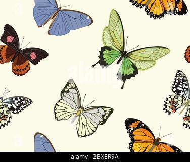 Seamless pattern with multi-colored butterflies of different breeds. Vector illustration Stock Vector