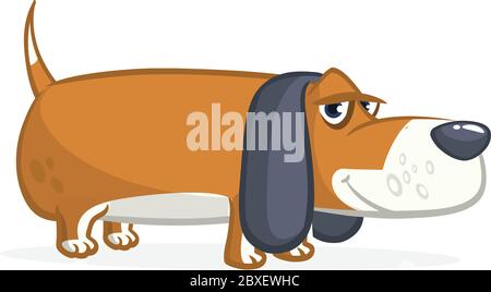 Cute Basset Hound dog cartoon. Vector illustration isolated on white background Stock Vector